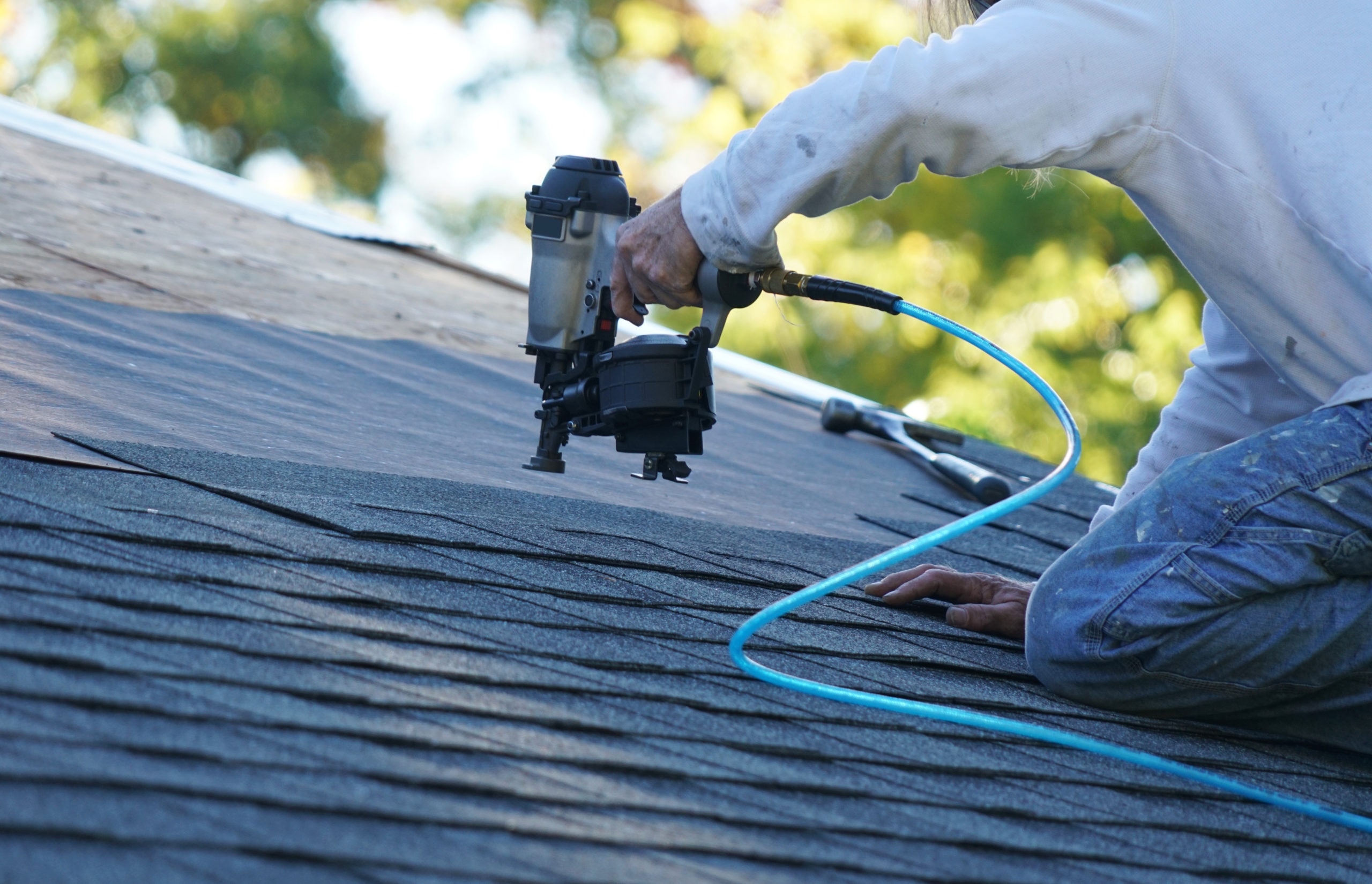 Shingle Roofing in Plano project 2